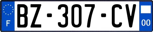 BZ-307-CV