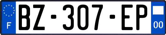 BZ-307-EP