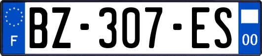 BZ-307-ES