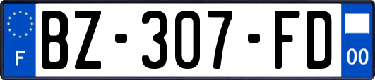 BZ-307-FD