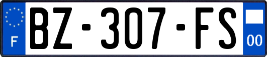 BZ-307-FS