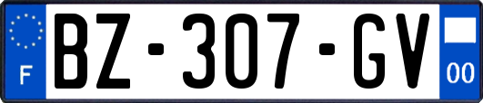 BZ-307-GV