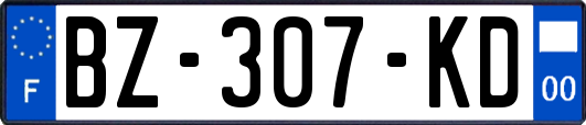 BZ-307-KD