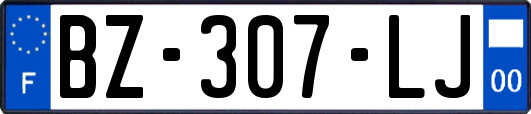 BZ-307-LJ