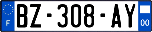 BZ-308-AY