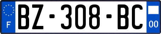 BZ-308-BC