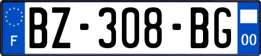 BZ-308-BG