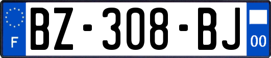 BZ-308-BJ