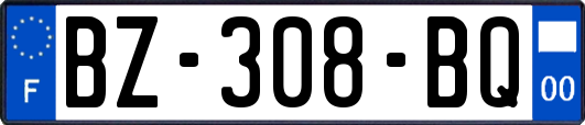 BZ-308-BQ