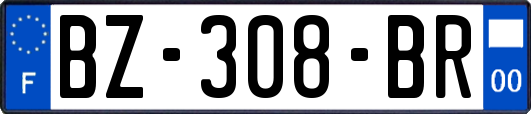 BZ-308-BR