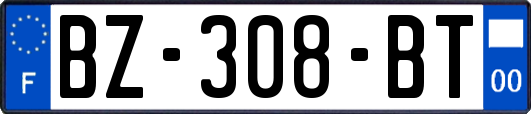 BZ-308-BT