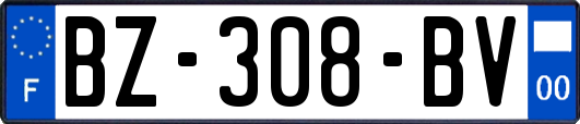 BZ-308-BV