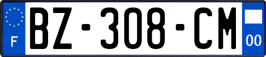 BZ-308-CM