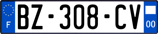 BZ-308-CV