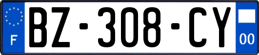 BZ-308-CY