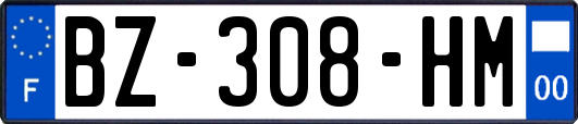 BZ-308-HM