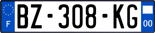 BZ-308-KG