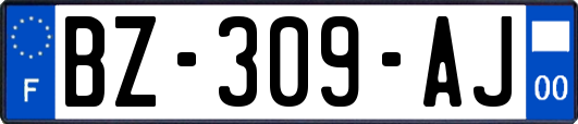 BZ-309-AJ