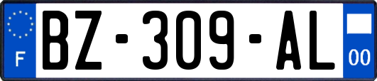 BZ-309-AL