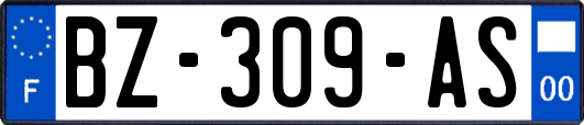 BZ-309-AS