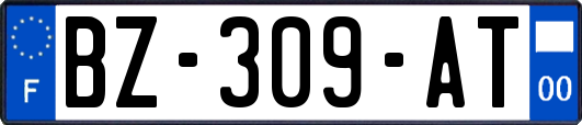 BZ-309-AT