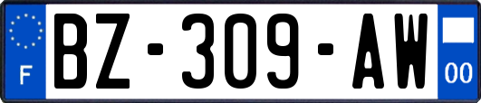 BZ-309-AW