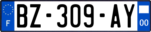 BZ-309-AY