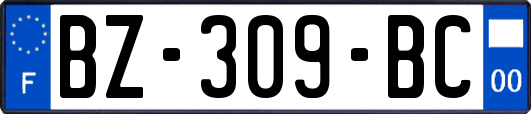 BZ-309-BC