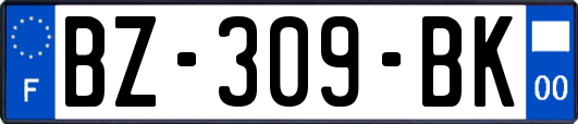 BZ-309-BK