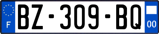 BZ-309-BQ