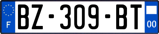 BZ-309-BT