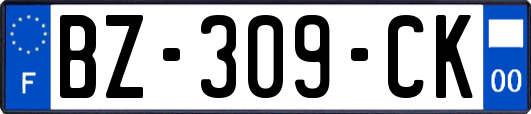 BZ-309-CK