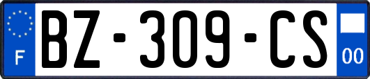 BZ-309-CS