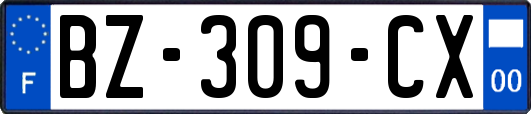 BZ-309-CX