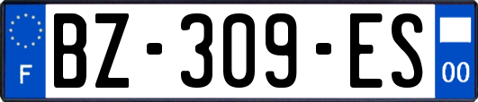 BZ-309-ES