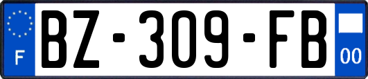 BZ-309-FB