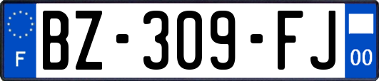 BZ-309-FJ