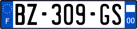 BZ-309-GS