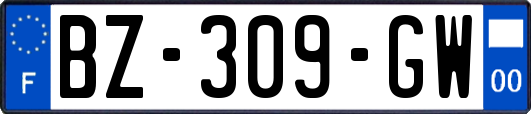 BZ-309-GW