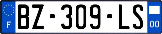 BZ-309-LS