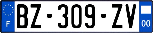 BZ-309-ZV
