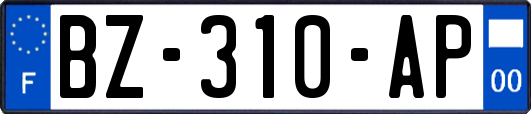 BZ-310-AP