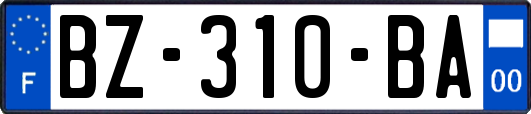 BZ-310-BA