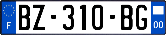 BZ-310-BG