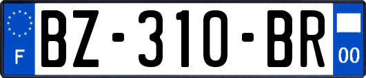 BZ-310-BR