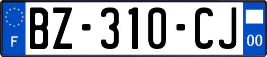 BZ-310-CJ