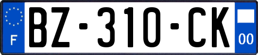 BZ-310-CK