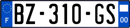 BZ-310-GS