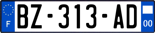 BZ-313-AD