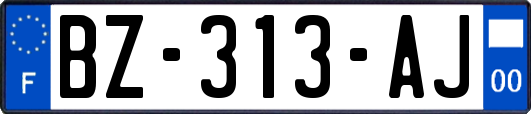 BZ-313-AJ